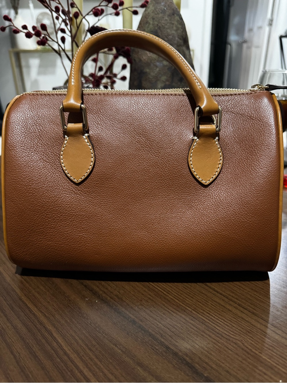 Dooney & Bourke Brown Leather Satchel with Cherry Charm - Picture 2 of 8